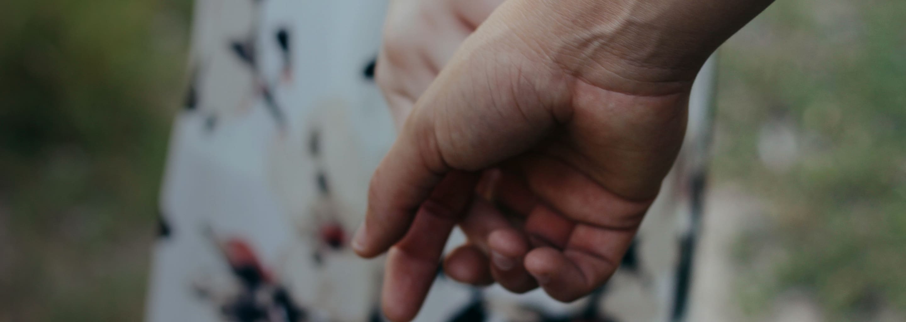 close up image of couple holding hands